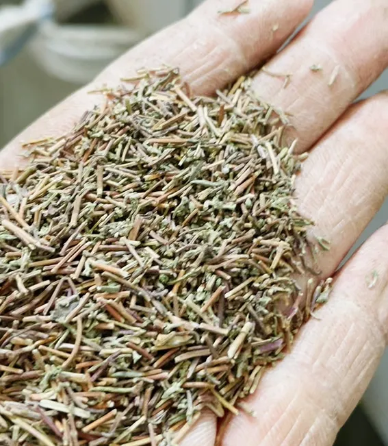 BEIBU&#039;s Trip to Egypt: Expanding Horizons in Grain and Herbs Cleaning Technology