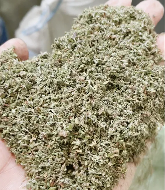 BEIBU&#039;s Trip to Egypt: Expanding Horizons in Grain and Herbs Cleaning Technology
