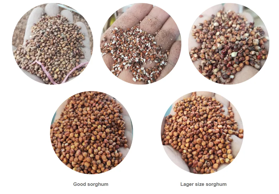 gravity grain cleaner