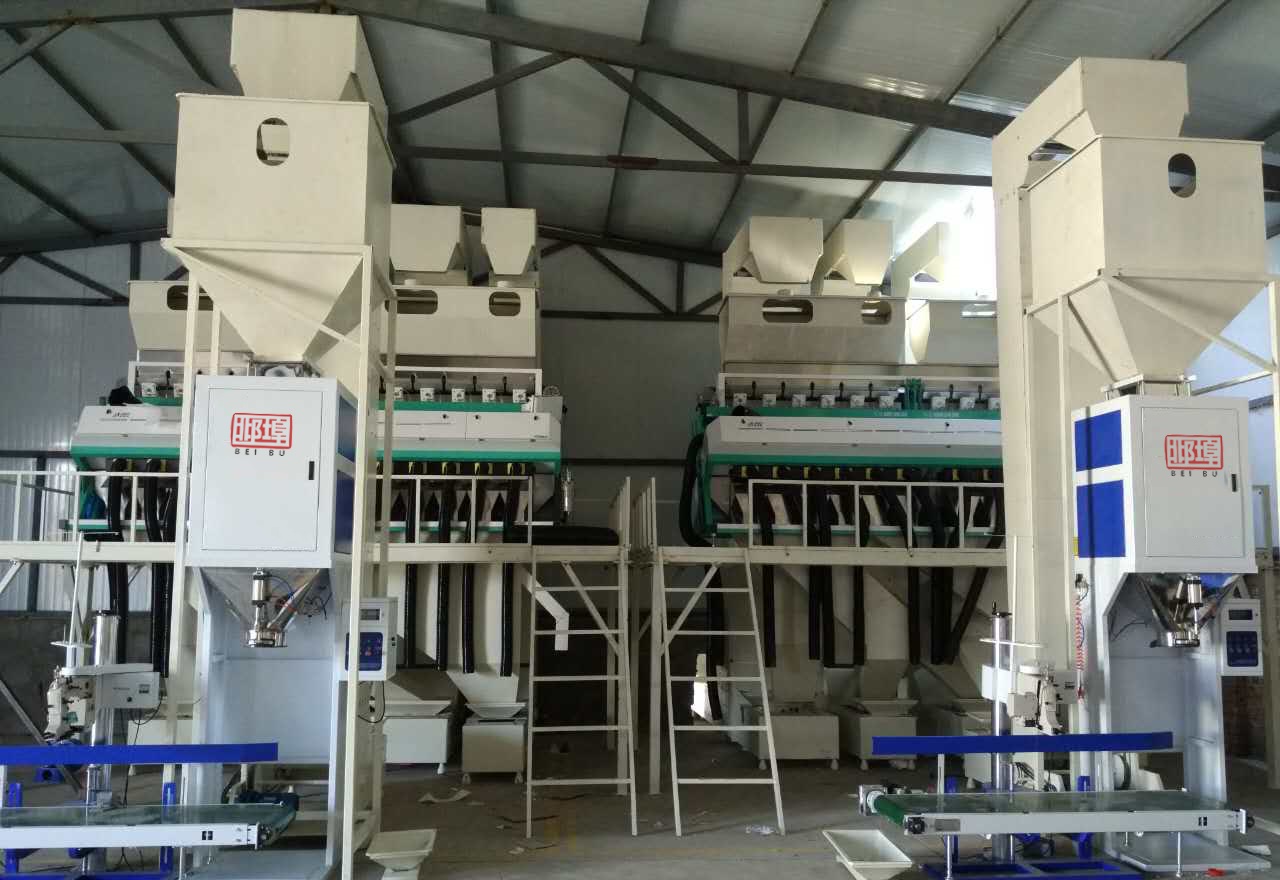 <trp-post-container data-trp-post-id='169'>three types grain packing machines</trp-post-container> <trp-post-container data-trp-post-id='169'>three types grain packing machines</trp-post-container>