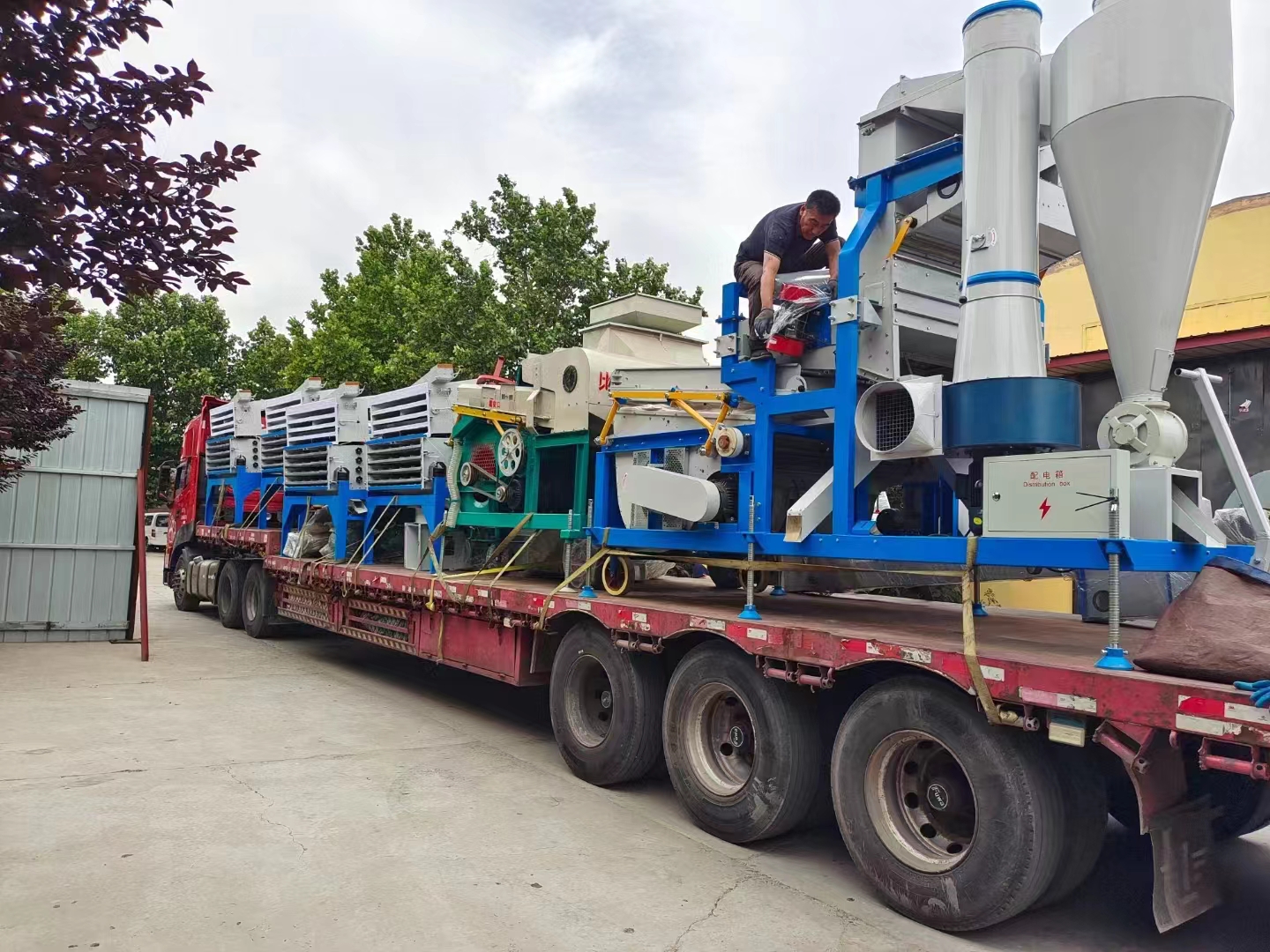 Beibu Machinery helps wheat harvest in China's main wheat producing areas Beibu Machinery helps wheat harvest in China's main wheat producing areas