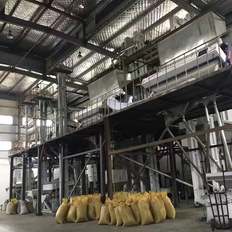 Overview of Sesame Production in 2024