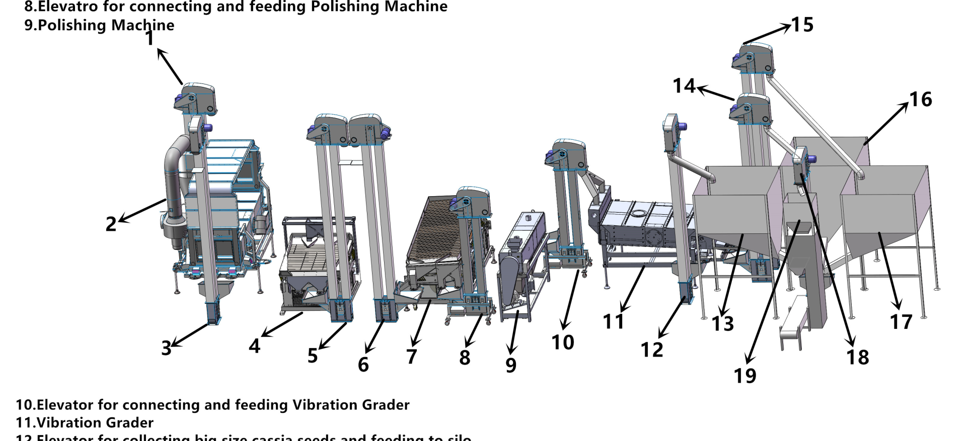 Cassia seed production line Cassia seed production line
