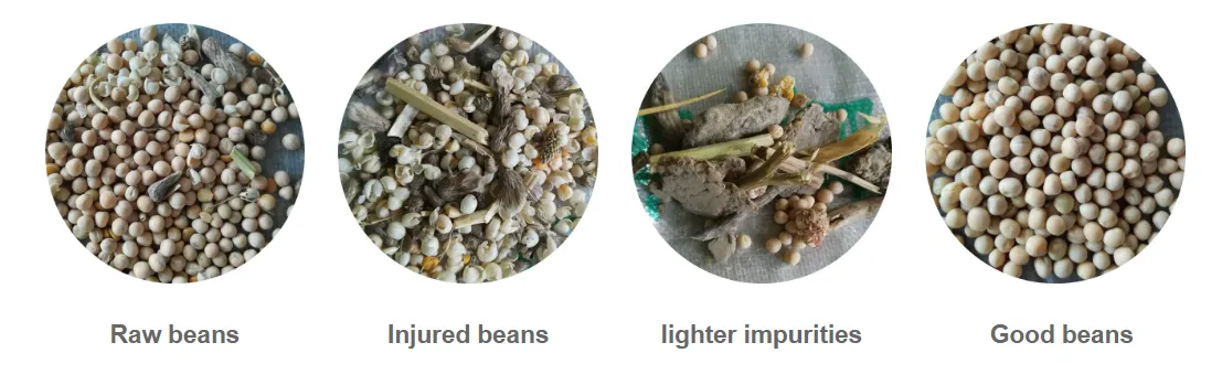 locust beans processing machine
