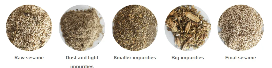 sesame processing plant