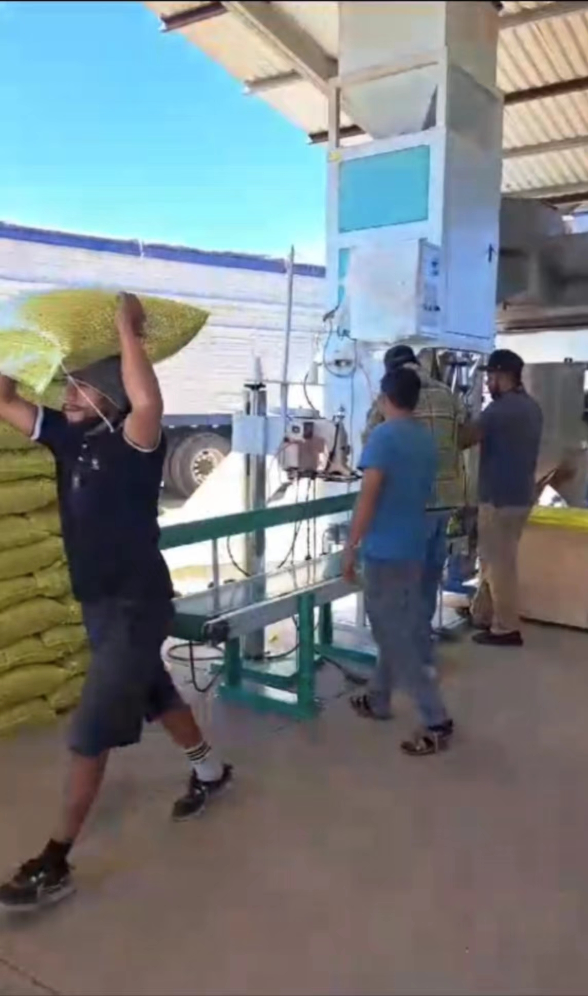 Magnetic separator cleans Frijol reyna in Mexico Magnetic separator cleans Frijol reyna in Mexico