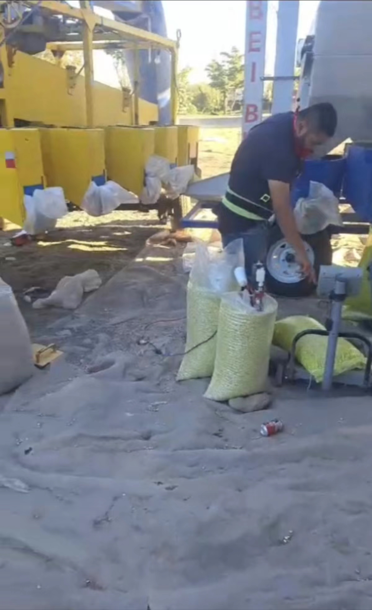 Magnetic separator cleans Frijol reyna in Mexico Magnetic separator cleans Frijol reyna in Mexico