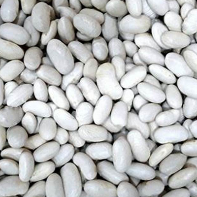 We and Mexican Agriculture We and Mexican Agriculture