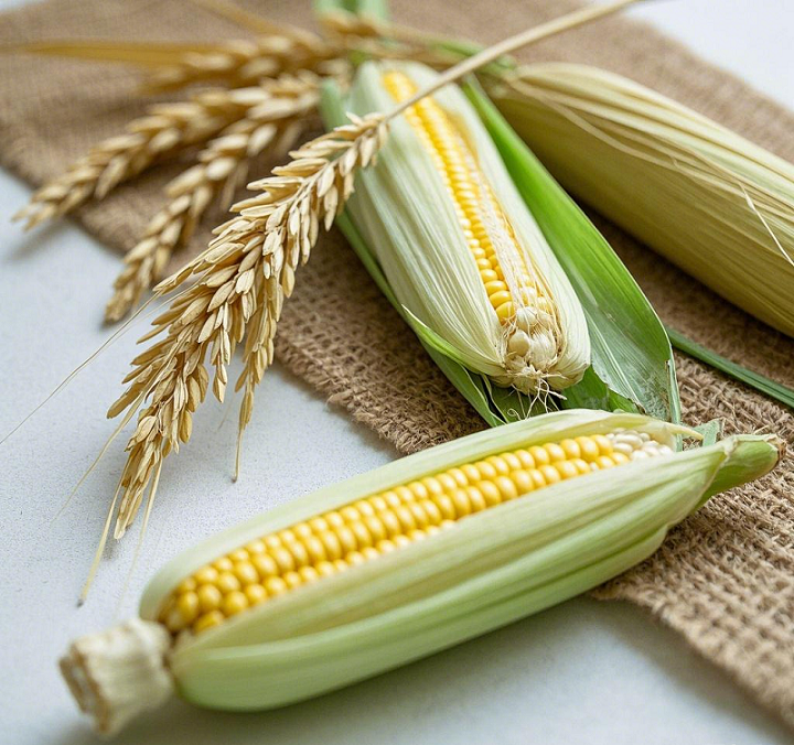 &lt;trp-post-container data-trp-post-id=&#039;73&#039;&gt;How to choose a high-quality grain seed cleaning machine - Beibu Machinery answers your questions&lt;/trp-post-container&gt;