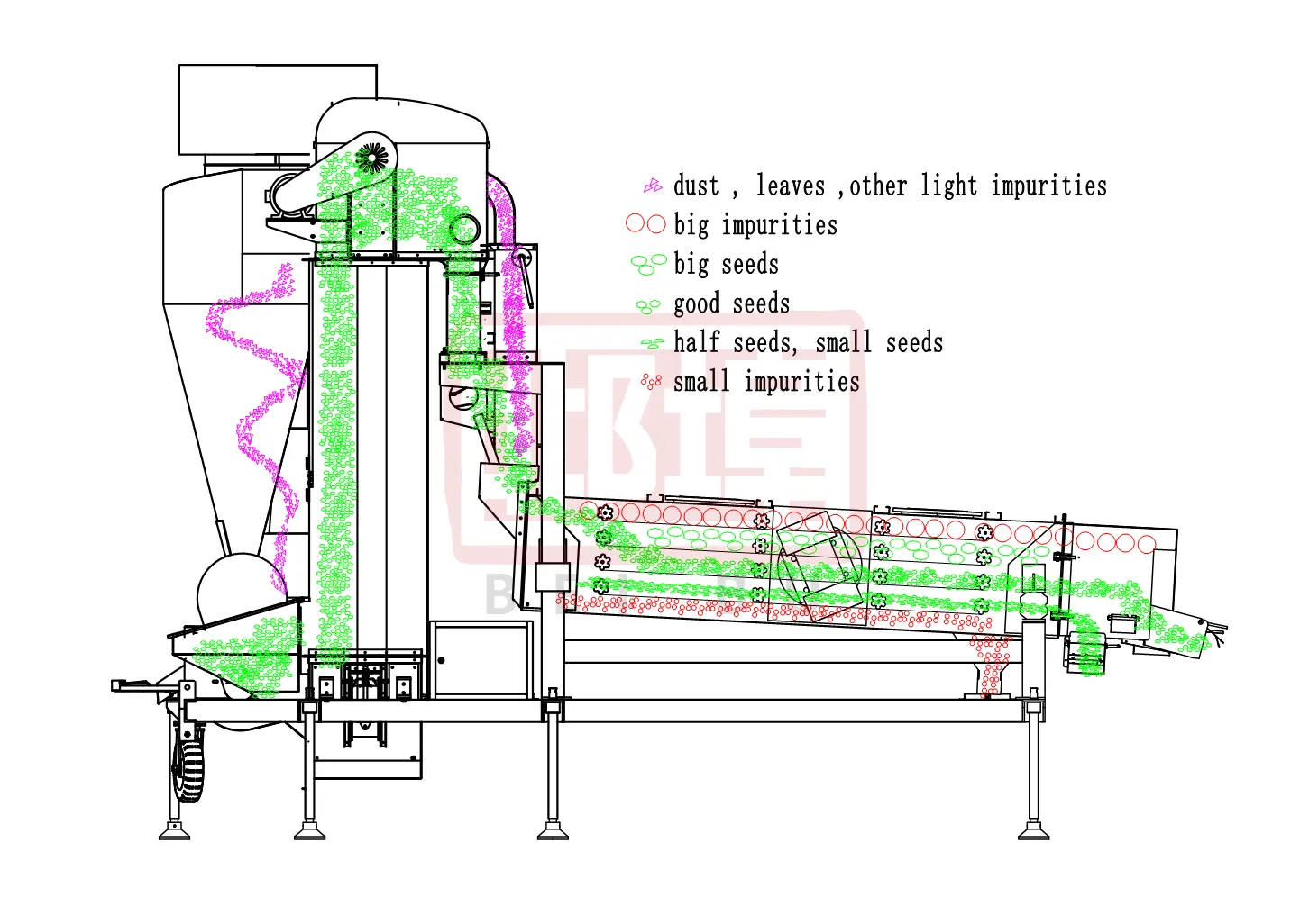 bean seed cleaner